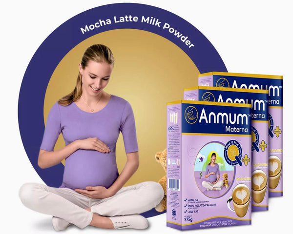 Anmum Materna Mocha Latte 375g