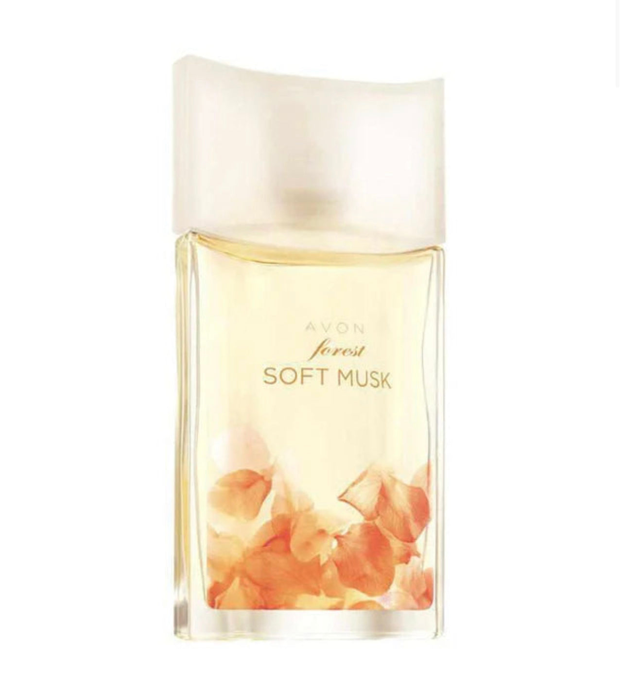 Forest Soft Musk Eau De Toilette Spray 50 mL